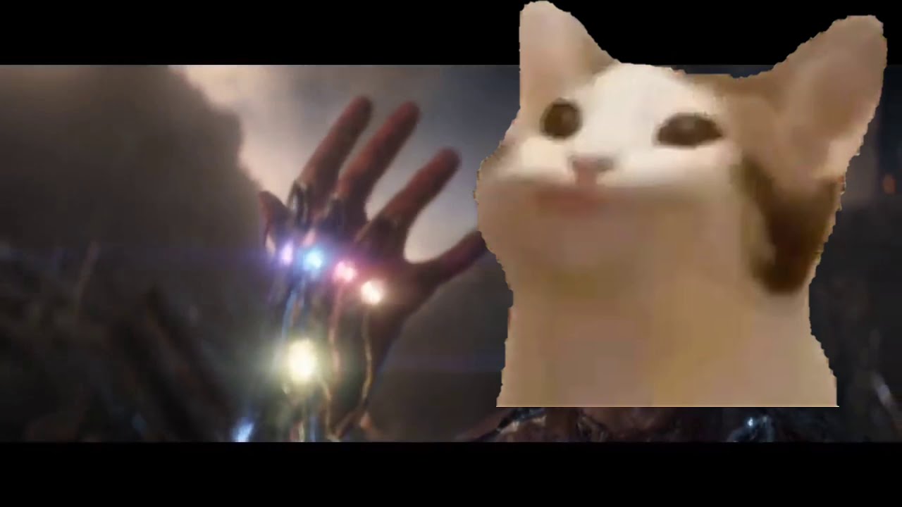 I... Am... Pop cat! (Vibing cat vs Pop cat)