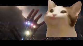 I... Am... Pop cat! (Vibing cat vs Pop cat)