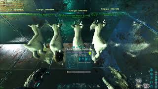 Ark Official Informational Gift: Gestation Monitor