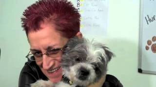 Home is where your animals are - RedRover 2012