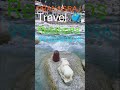 #lifeisbutadream #onthisday #prayagraj #Travel #Relations dhamo dham yatra Varanasi plz sport me