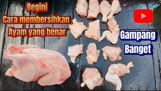Begini cara membersihkan ayam potong yang benar #ayam #kulinerayam #kuliner #food #youtube