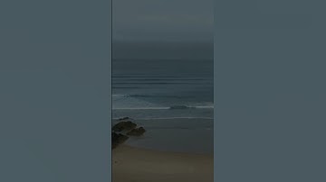 لاتنسون سورة الملك قبل النوم فهي المنجية من عذاب القبر بأذن الله