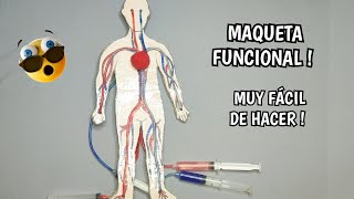 Como hacer la maqueta del sistema circulatorio funcional