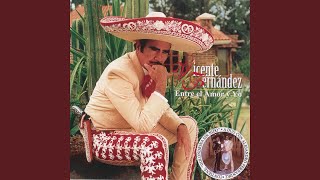 Video thumbnail of "Vicente Fernández - No, Que No"