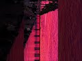 Sina de Ofélia(Slowed Down) #slowed #music #shots #fy #foryou #sloweddown #for #fyp #fy #sanset