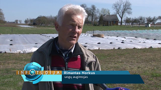 Infostudija 2017-05-08