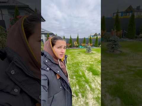 Шишки на туї Як не втратити рік приросту дерева