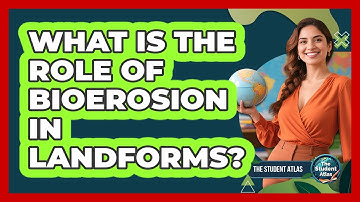 What Is the Role of Bioerosion in Landforms?