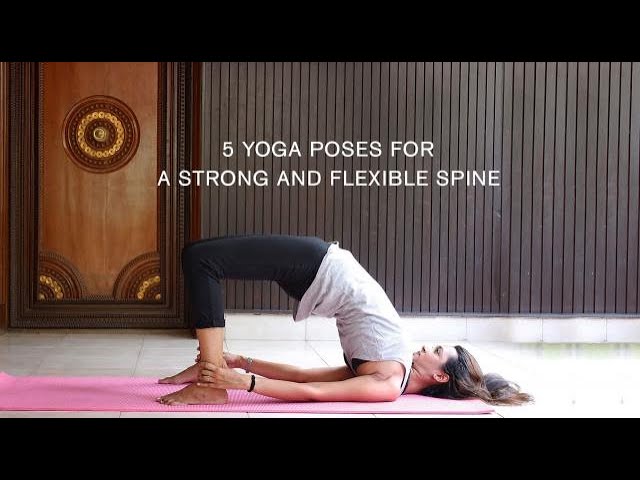 Yoga Poses For a Healthy Spine | Yoga Selection