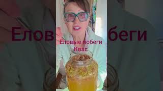 Ферментированные напитки #рецепт от #brandalin#дикоросы #одуванчик#fermentation#shorts#ель#полезно