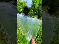 Amazing view