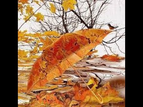 ''ყვითელი ფოთლები'' მაია სიჭინავა /Author songs maia sitchinava