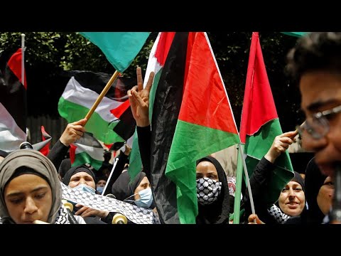 Palestine Whatsapp Status | Philistine Whatsapp Status Huge Demonstration In US Chicago