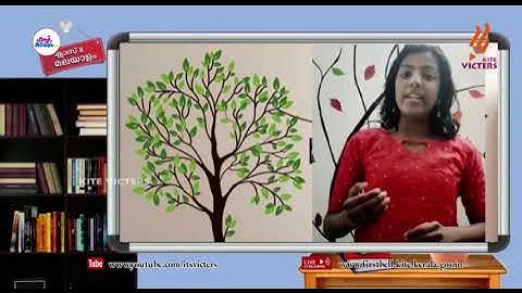 First Bell 2.0 STD 08 Malayalam Keralapadavali Class 22