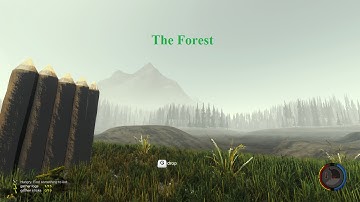 The Forest - Single Player [PC] (HD) - Part 8 (A New Game)