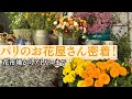 パリの花市場へ！フランス流フラワーアート｜ラヴェンダースティック作ってみた｜