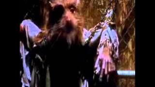 All Fathers Care for their Sons