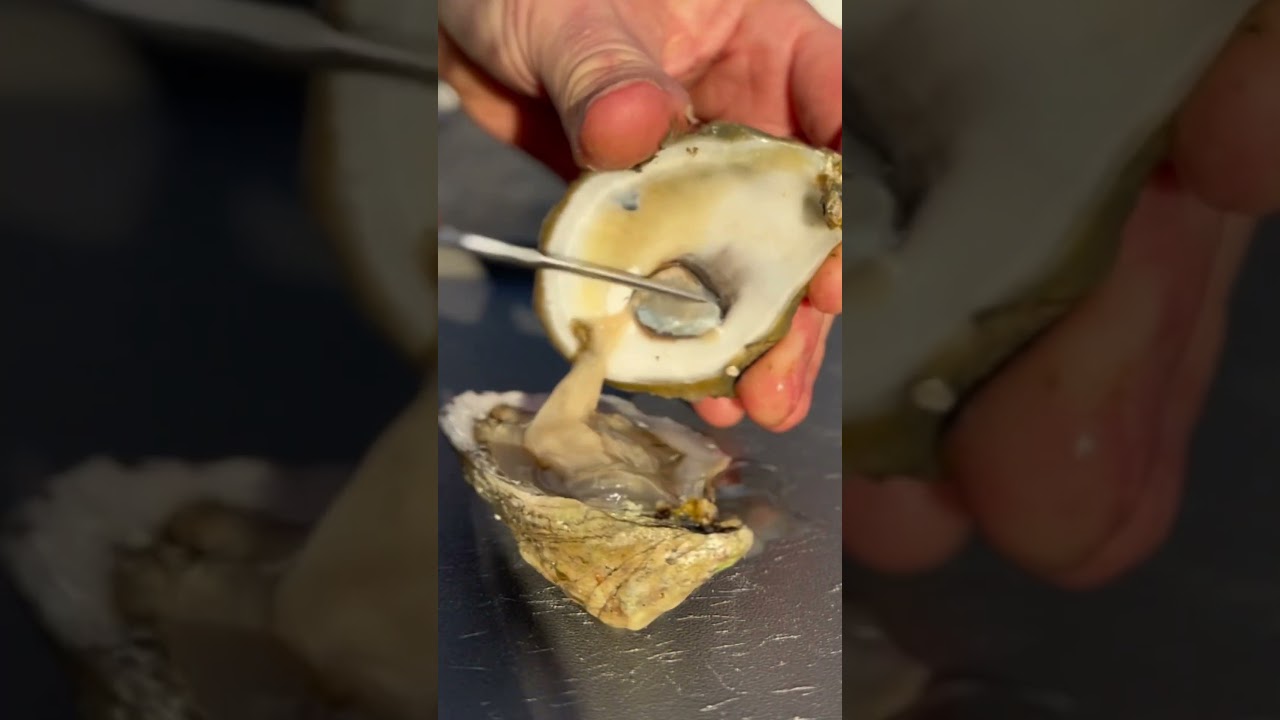 Many ways to shuck an oyster 