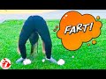 Unexpected And Embarrassing Farts and Funny Fails Moments : Funny Videos 2021  - Funny Pets Moments