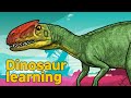 Dinosaur Monolophosaurus Collection | What is this dinosaur? | carnivorous dinosaur | 공룡 모놀로포사우루스