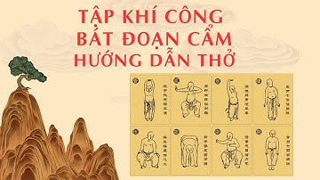 Hướng Dẫn Tập Khí Công Chữa Bệnh Bát Đoạn Cẩm 8 Brocades Qigong - Dưỡng Sinh Bát Đoạn Cẩm TPHCM