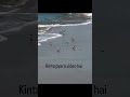 kitna pyara video hai #shorts #shortvideo