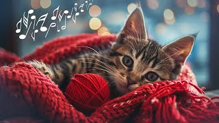 12 HOURS of Soothing Music for Cats  Cats Favorite Music  Sleepy Cat