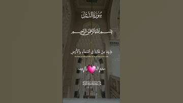 آيات بينات من الذكر الحكيم بصوت رائع وجميل ❤ #القرآن_الكريم #المصحف #المغرب #اكسبلور