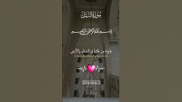 آيات بينات من الذكر الحكيم بصوت رائع وجميل ❤ #القرآن_الكريم #المصحف #المغرب #اكسبلور