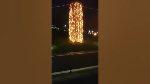 Luminitele din Parcul Moghioros