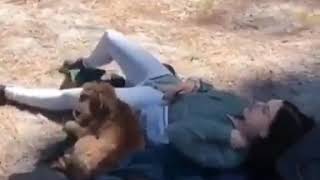 Danielle campbell stories