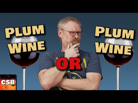 We made PLUM WINE - Or... DID We?