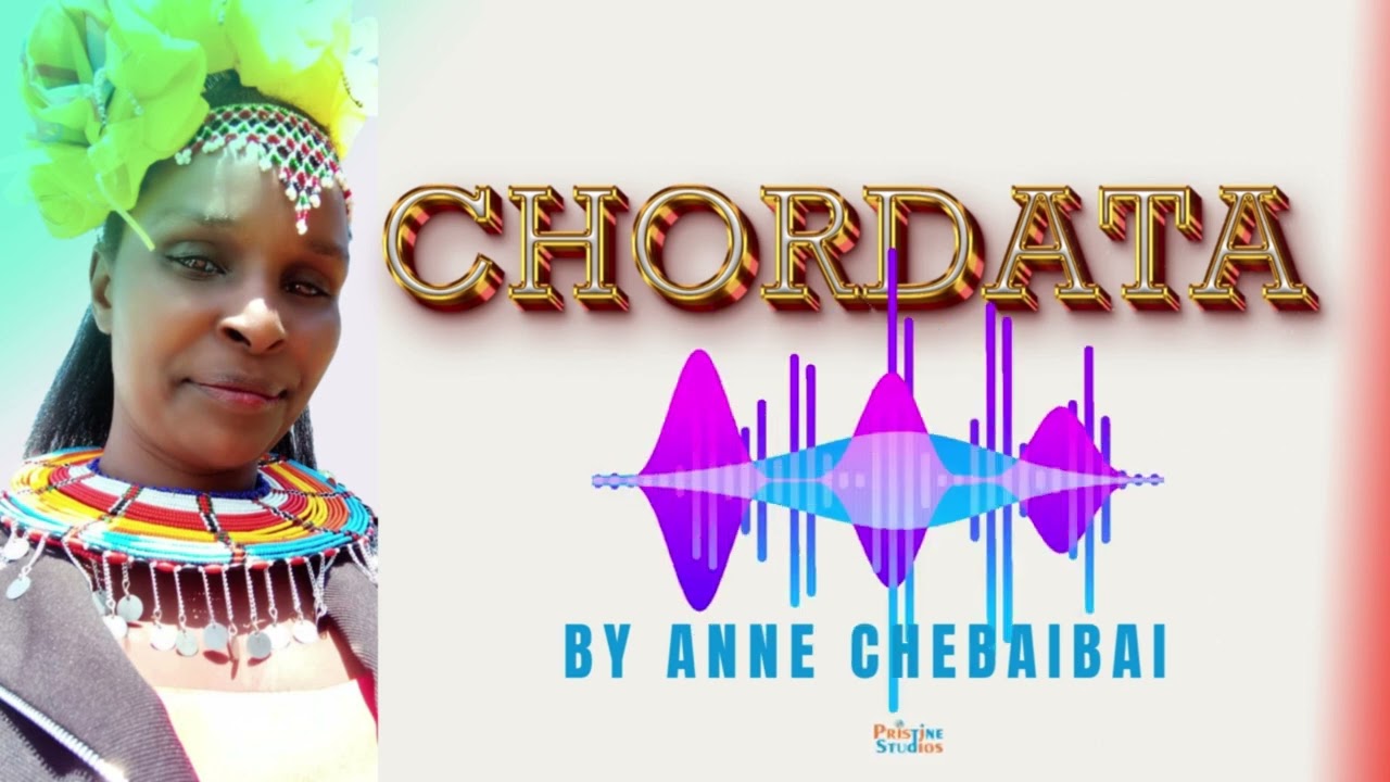 ANNE CHEBAIBAI  CHORDATA