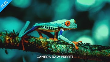 Photoshop Art : Macro Photography | Free Camera RAW Preset Download By Massive Editz