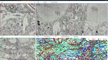 webKnossos: Connect Publications to Your Dataset