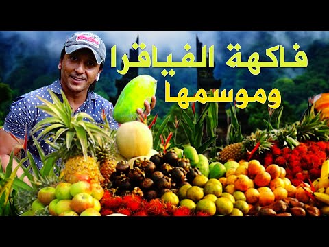 فيديو: ما هي الخضرة الاستوائية؟