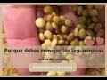 Porque debes remojar granos o leguminosas antes de cocerlos / Recetas de cuaresma / Amando mi Casa