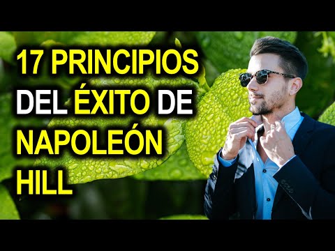 17 PRINCIPIOS DEL