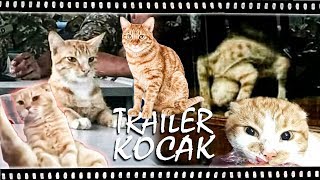 Trailer Kocak  Kocheng Orenz