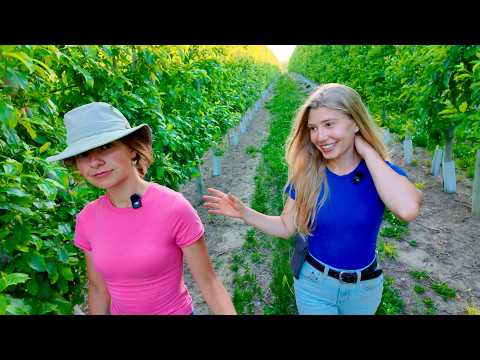 Farm Share Schedule