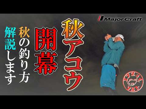 エンジョイソルトページ エンジョイソルト - YouTube