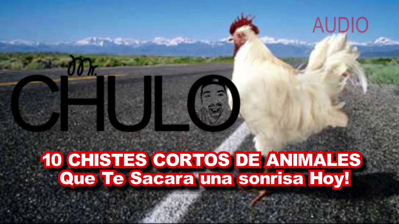10 CHISTES CORTOS DE ANIMALES QUE TE SACARA UNA SONRISA HOY! YouTube