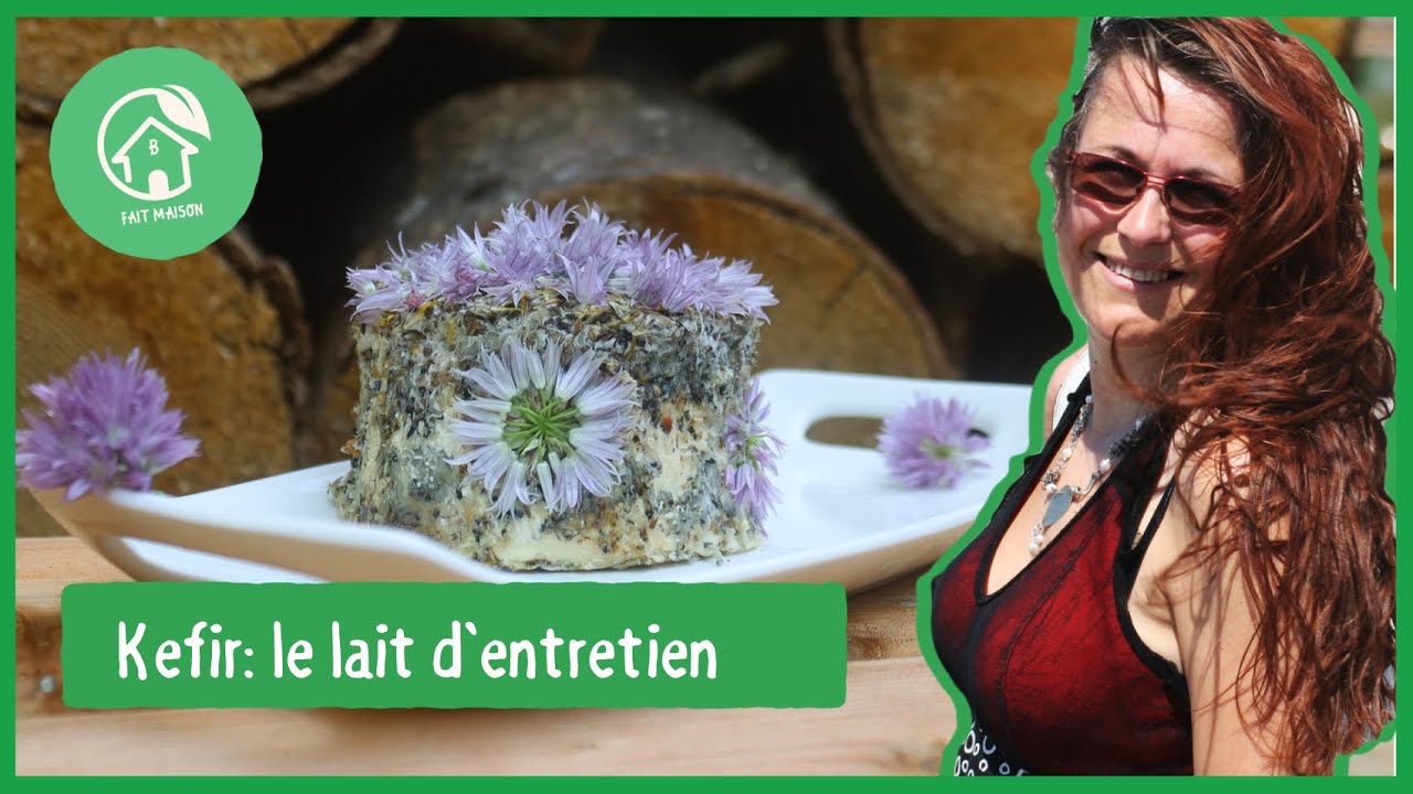 kéfir : le lait d'entretien des grains dans le frigo - YouTube