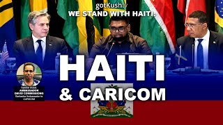 HAITI &amp; CARICOM • w/ David Commissiong +more • We Stand With Ayiti pt 3