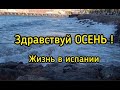 Здравствуй ОСЕНЬ#жизнь в испании#осень в Андалусии#исппния2022#