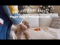 December Days 🎄Puppy Vlog 🧸 and Philippines visit ✈️