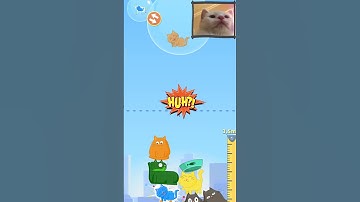 Cat Stack - 7.3 meters - Gameplay Walkthrough (iOS & Android) #shorts #games #funny
