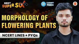 Morphology of Flowering Plants🌱 | NCERT Lines + PYQ's Solving | NEET 2024 Biology | Basavaraj Sir