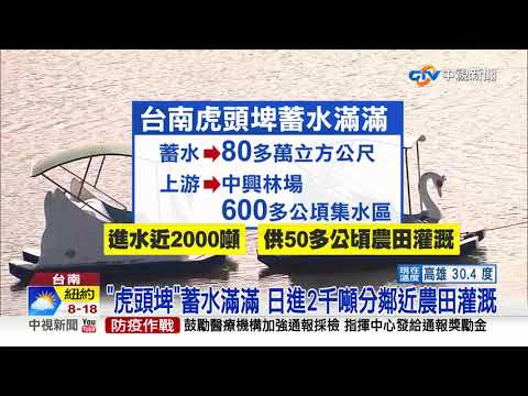 全台第一水庫"虎頭埤"好爭氣! 林地助攻"滿水位"│中視新聞 20210511